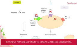 Pathofysiologie van trombocytenactivatie